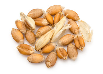 Similar image 11146829