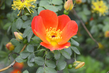 Similar image 11146636