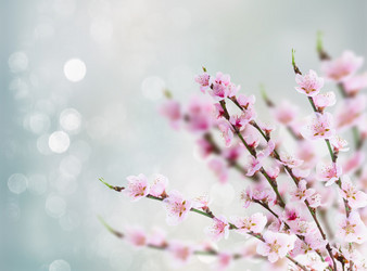 Similar image 11279852