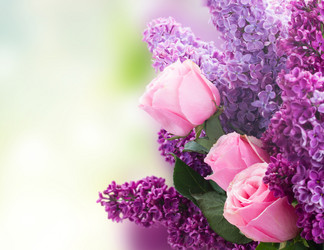 Similar image 11279855