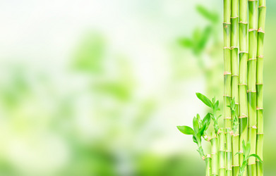 Similar image 11279898