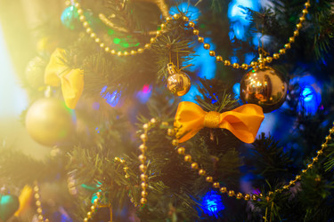 Similar image 11281031