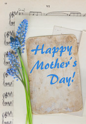 Similar image 11280081