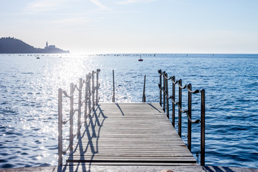 Similar image 11146875