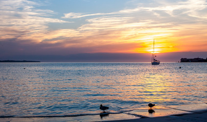 Similar image 11146880