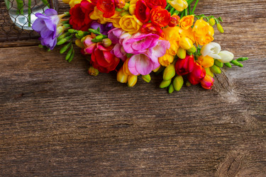 Similar image 11279899