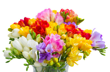 Similar image 11279900