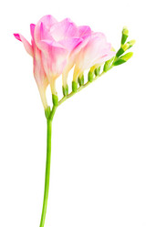 Similar image 11279901