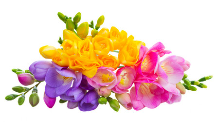 Similar image 11279902