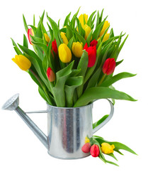 Similar image 11279908