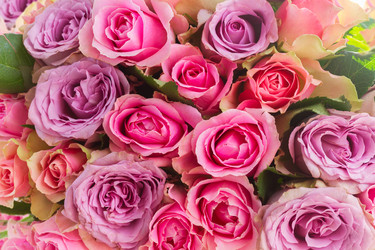 Similar image 11279941