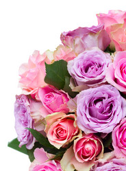 Similar image 11279942