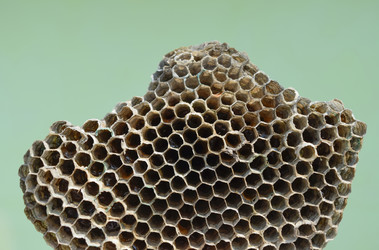 Similar image 11330743