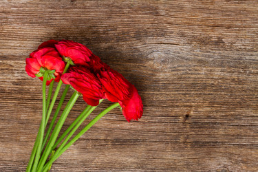 Similar image 11279944