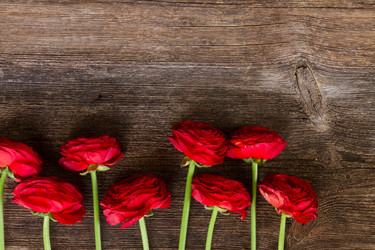 Similar image 11279945