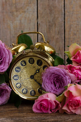 Similar image 11279948