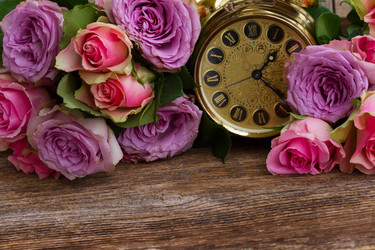 Similar image 11279949