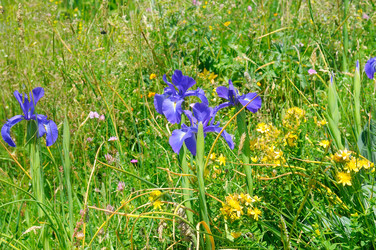 Similar image 11167196