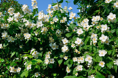 Similar image 11167202