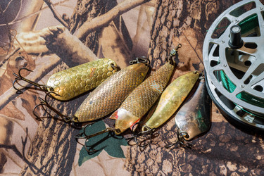 Similar image 11160267