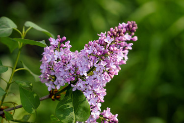 Similar image 11146977