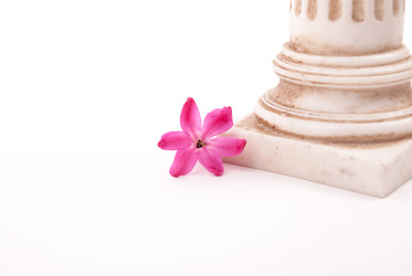 Similar image 11282636