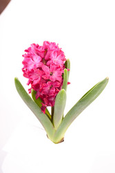 Similar image 11282667