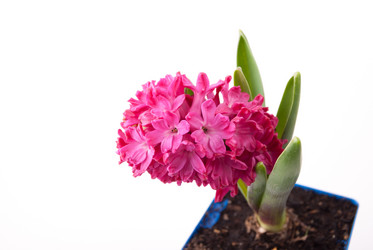 Similar image 11282669