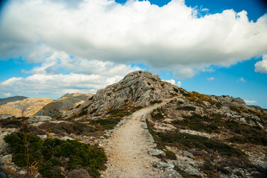 Similar image 11282670