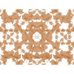 Similar image 11168418