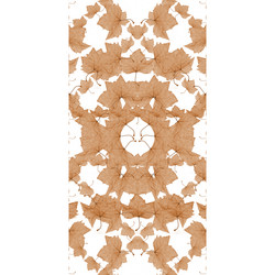 Similar image 11168423