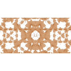 Similar image 11168425