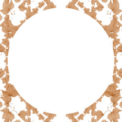 Similar image 11168431