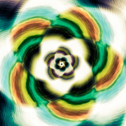 Similar image 11282650