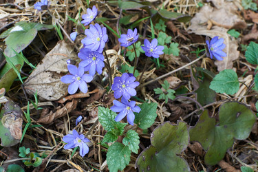 Similar image 11148420