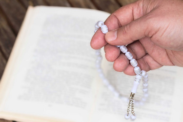 Similar image 11279952