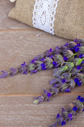 Similar image 11279994