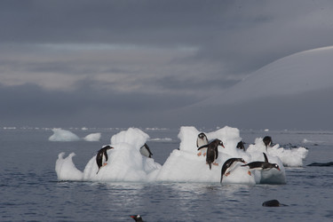 Similar image 11287637