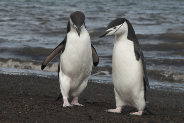 Similar image 11287812