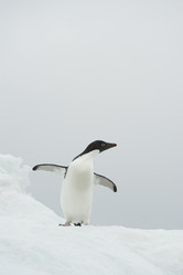 Similar image 11287903