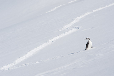 Similar image 11287905