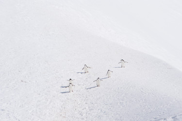 Similar image 11287625