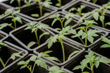 Similar image 11166942