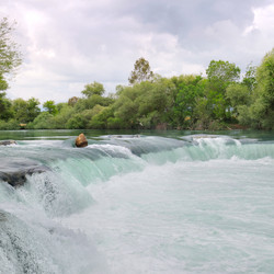 Similar image 11276507