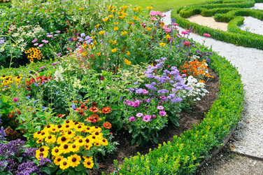 Similar image 11276531