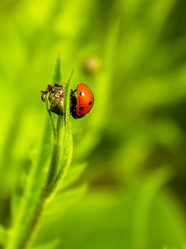 Similar image 11167243