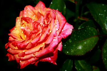 Similar image 11167246