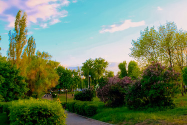 Similar image 11167454