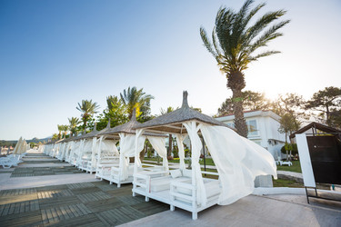 Similar image 11278686