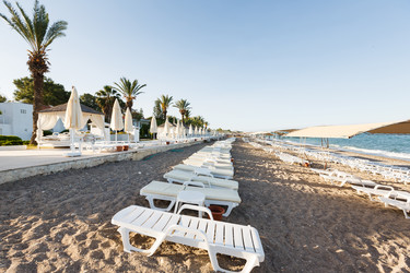 Similar image 11278689